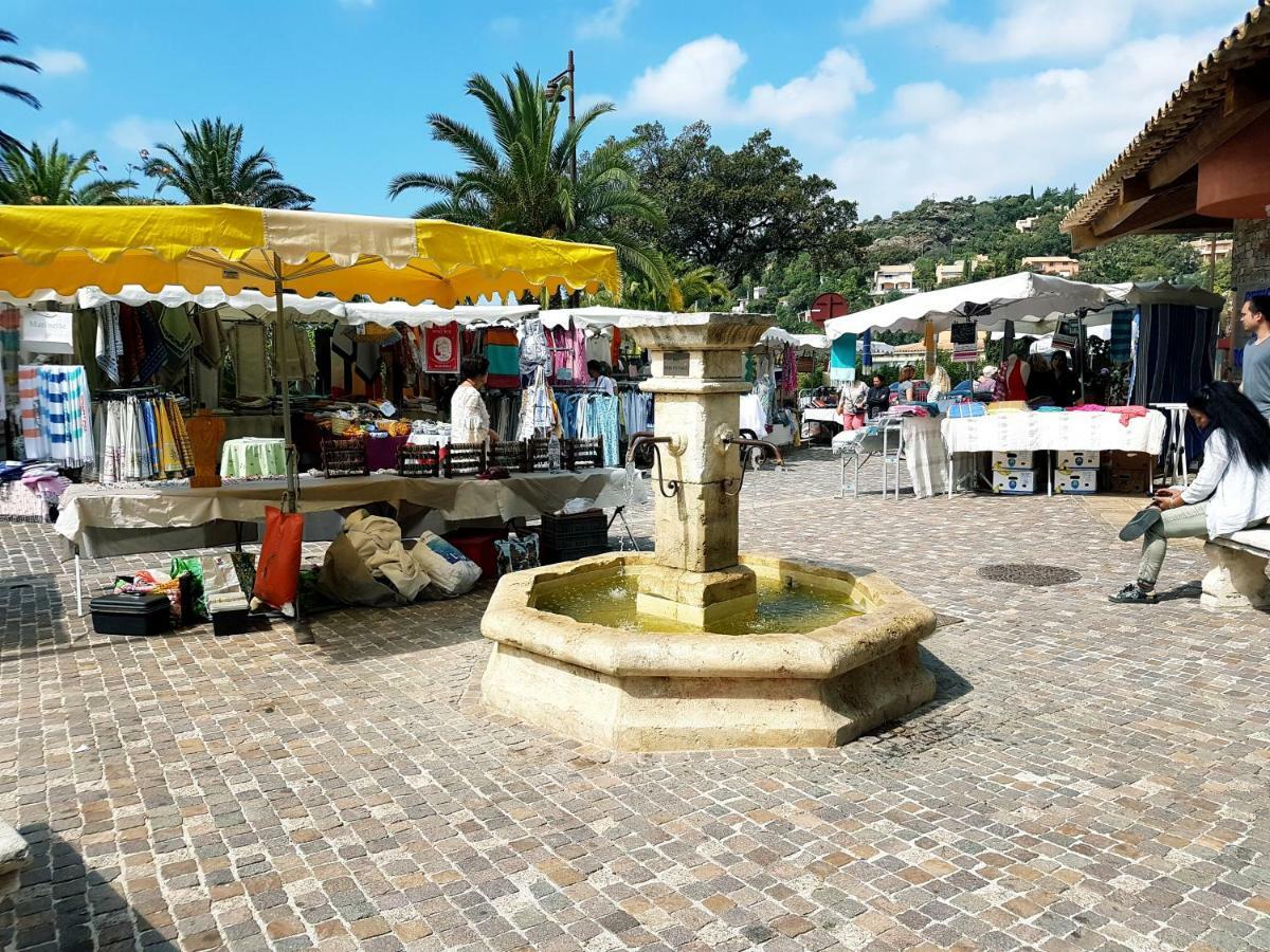 Villa Adriandre Le Le Rayol-Canadel-sur-Mer Exteriér fotografie