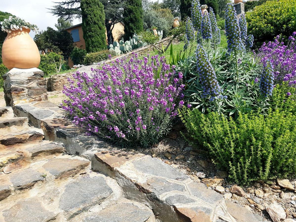 Villa Adriandre Le Le Rayol-Canadel-sur-Mer Exteriér fotografie